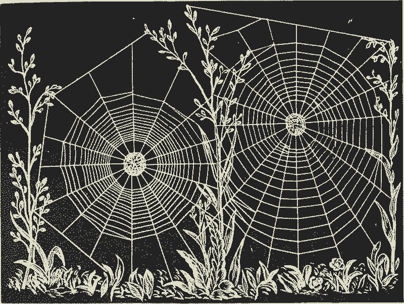 a 1-bit black and white image of spiderwebs woven between plants.